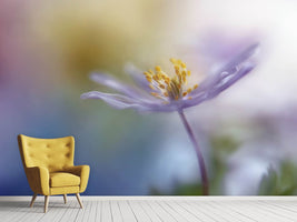 photo-wallpaper-springtime-watercolor