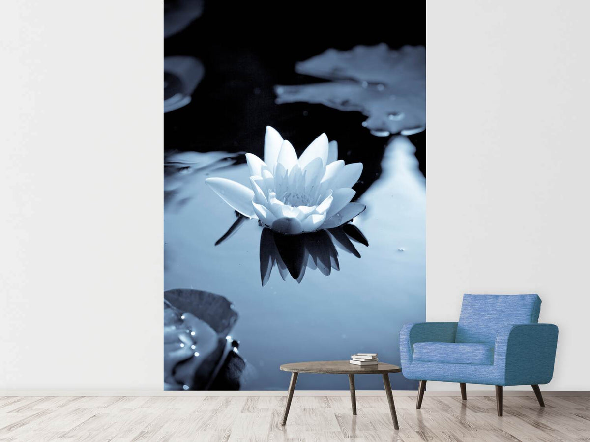 photo-wallpaper-black-and-white-photograph-waterlily