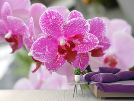 photo-wallpaper-purple-orchids-in-bloom