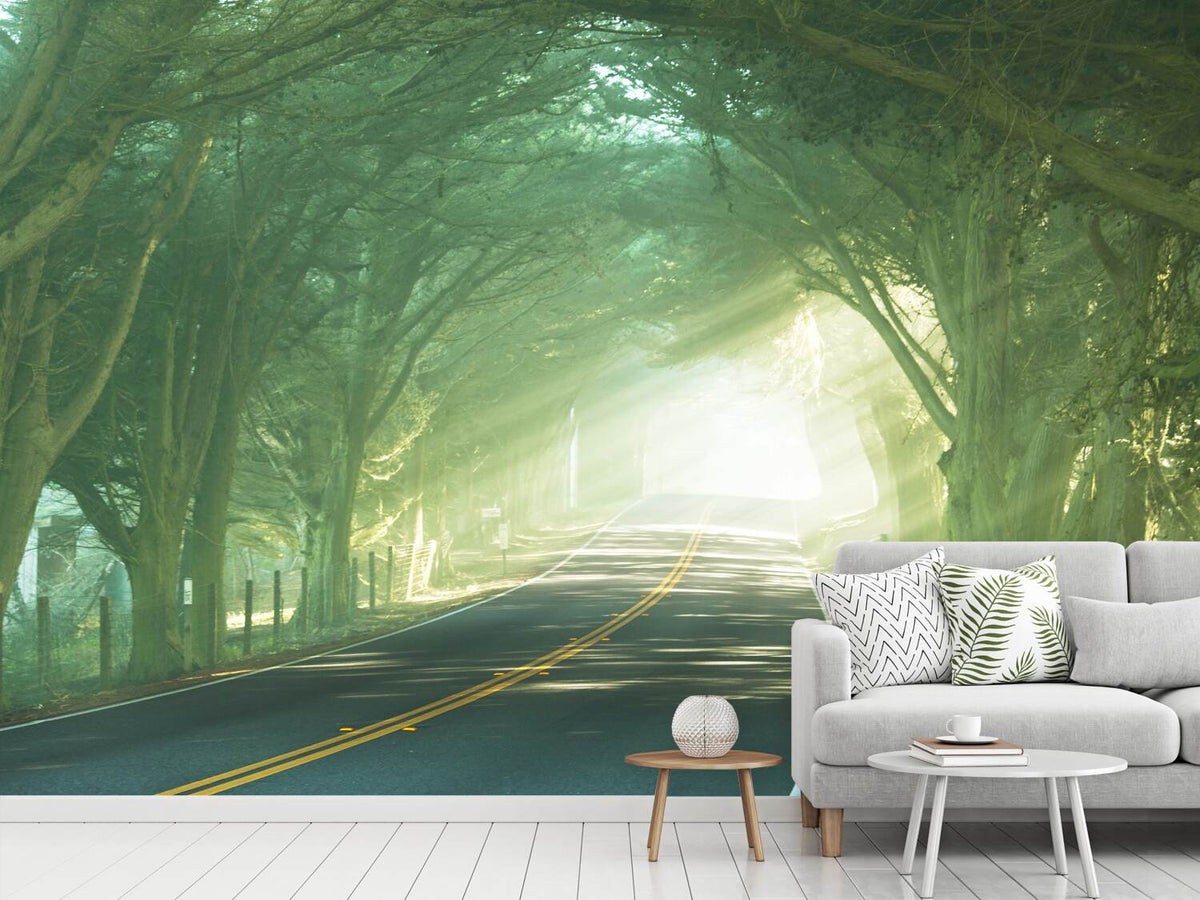 photo-wallpaper-the-avenue