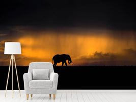 photo-wallpaper-elephant-in-a-rain-storm-at-sunset-x