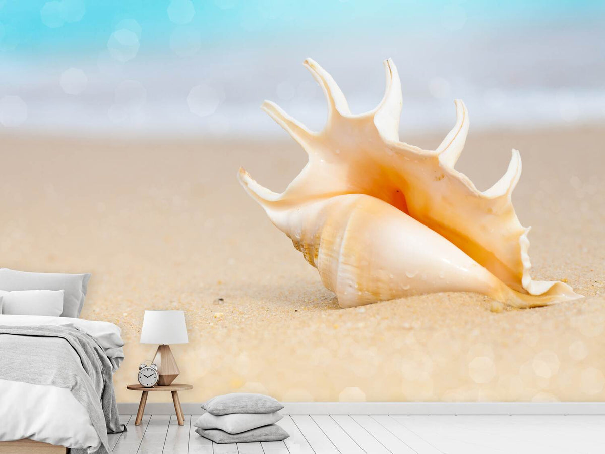 photo-wallpaper-the-shell-on-the-beach