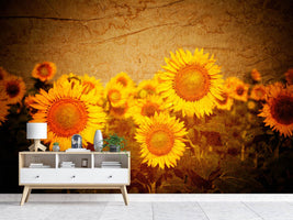 photo-wallpaper-retro-sunflower