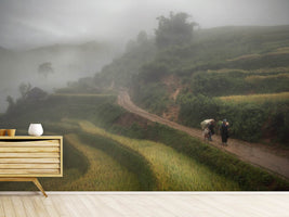 photo-wallpaper-fog