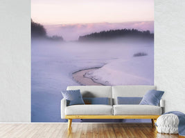 photo-wallpaper-winters-mystique