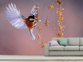 photo-wallpaper-bird-in-action