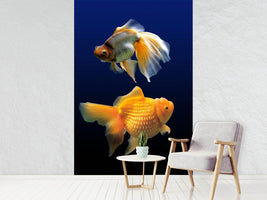 photo-wallpaper-2-funny-fish