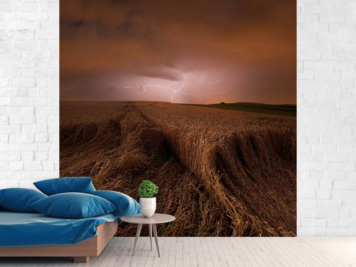 photo-wallpaper-morning-storm