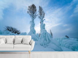 photo-wallpaper-warmth-in-the-cold