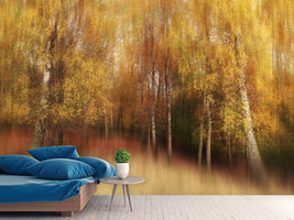 photo-wallpaper-autumn-impression-xvl