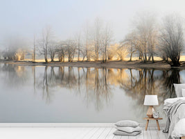 photo-wallpaper-january-morning