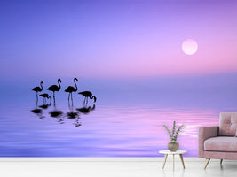 photo-wallpaper-morning-flamingo-x