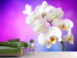 photo-wallpaper-flower-power-orchid