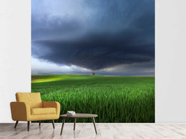 photo-wallpaper-thunderstorm-cell-over-the-alb-plateau