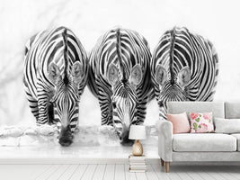 photo-wallpaper-zebras-xbj