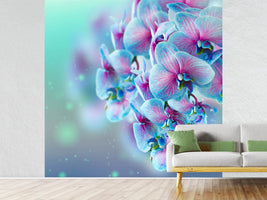 photo-wallpaper-colored-orchids