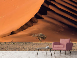 photo-wallpaper-the-dune-and-the-tree-x