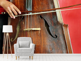 photo-wallpaper-the-cello