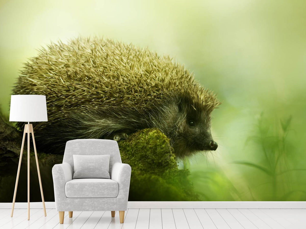 photo-wallpaper-hedgehog-x