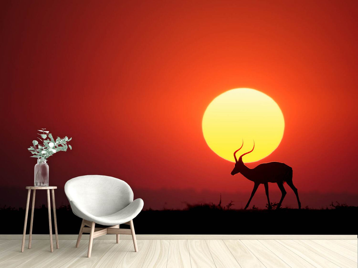 photo-wallpaper-an-african-sunset-x