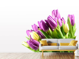 photo-wallpaper-tulips-in-xl