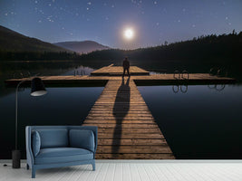 photo-wallpaper-alone-at-full-moon