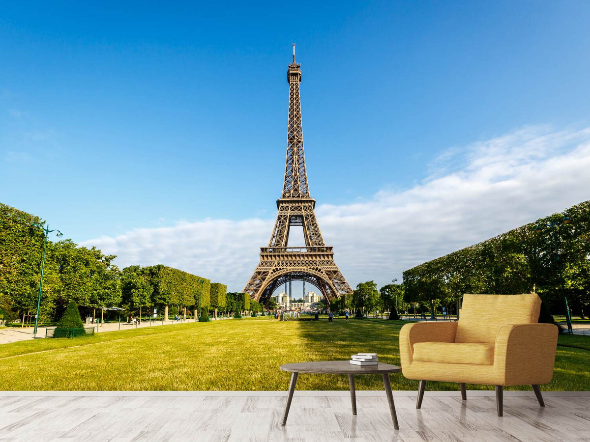 photo-wallpaper-the-eiffel-tower-in-paris