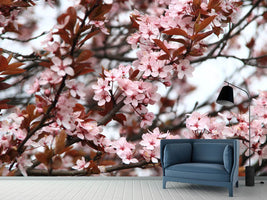 photo-wallpaper-spring-is-here