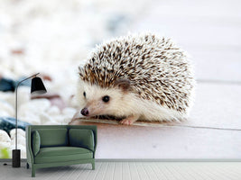 photo-wallpaper-the-hedgehog-baby