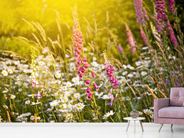 photo-wallpaper-summer-flower-meadow