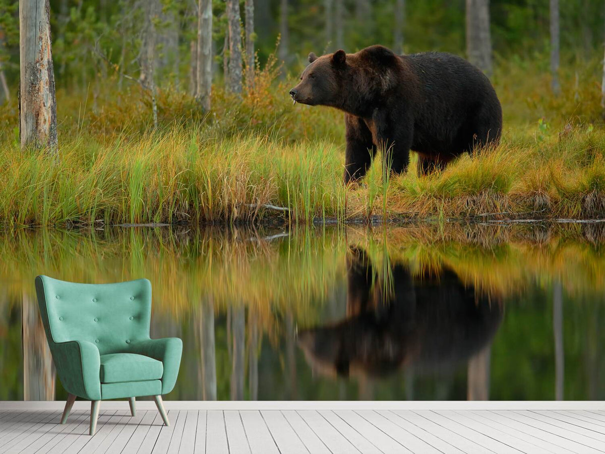 photo-wallpaper-bear-and-fish-x