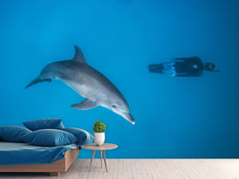 photo-wallpaper-dolphin-and-freediver