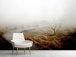 photo-wallpaper-dense-fog