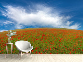 photo-wallpaper-red-poppies