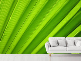 photo-wallpaper-palm-stripes-ii