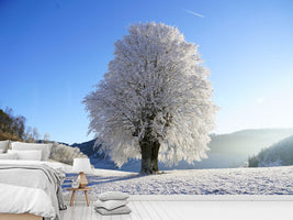 photo-wallpaper-winter-fairy-tale