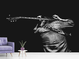 photo-wallpaper-the-guitar-game