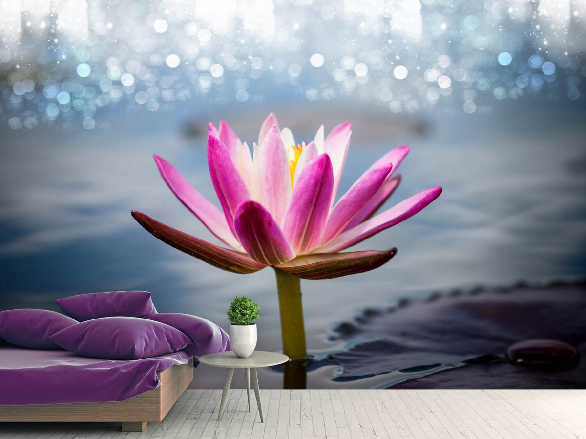 photo-wallpaper-lotus-in-the-morning-dew