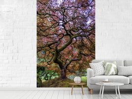 photo-wallpaper-japanese-maple-tree