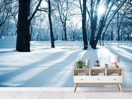 photo-wallpaper-the-forest-without-tracks-in-the-snow