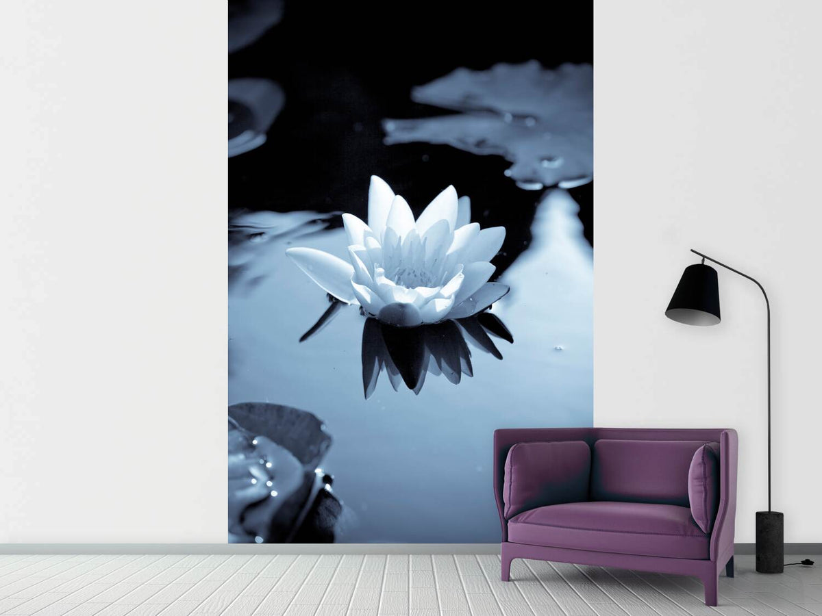 photo-wallpaper-black-and-white-photograph-waterlily