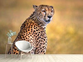 photo-wallpaper-cheetah-portrait-x