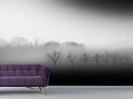 photo-wallpaper-eight-trees-in-the-mist