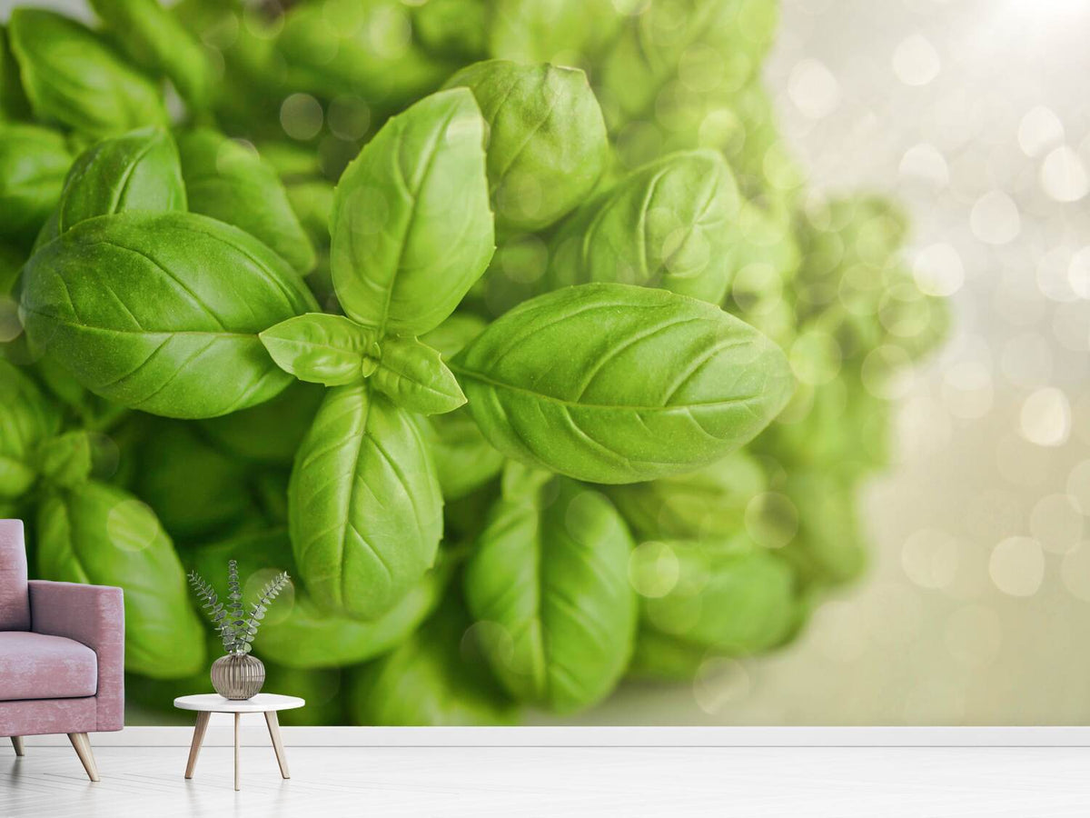 photo-wallpaper-a-bouquet-of-basil