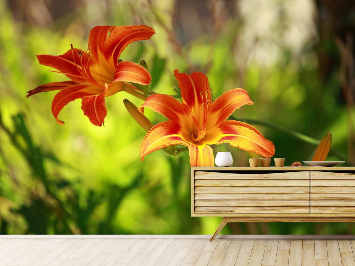 photo-wallpaper-lilies-in-nature