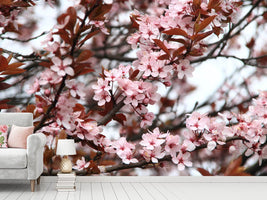 photo-wallpaper-spring-is-here