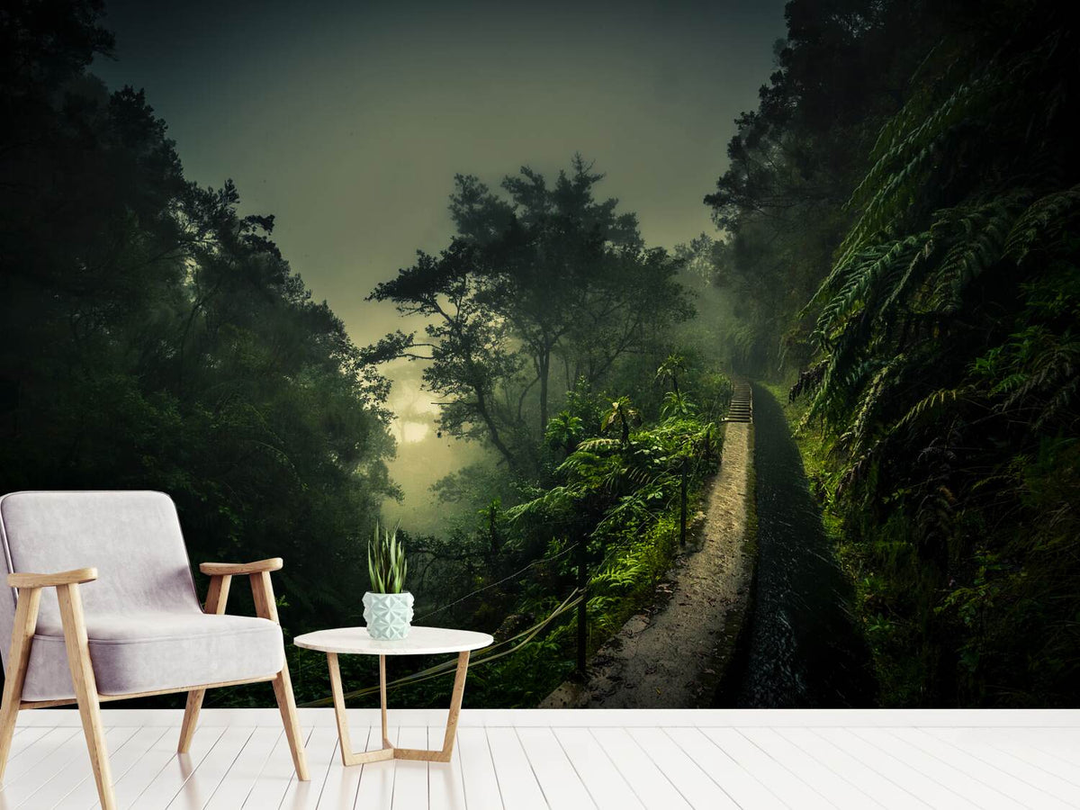 photo-wallpaper-levada-walk-x