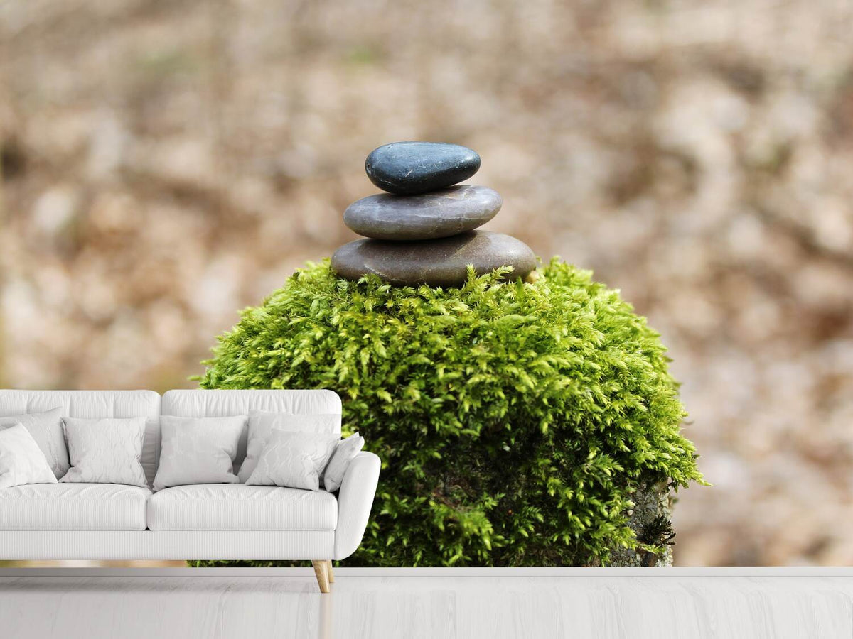 photo-wallpaper-stone-pile-on-plant