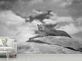 photo-wallpaper-leopard-on-a-kopje-x