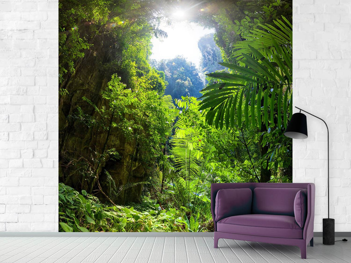 photo-wallpaper-clearing-in-the-jungle